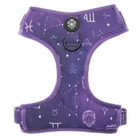 Astrology Harness