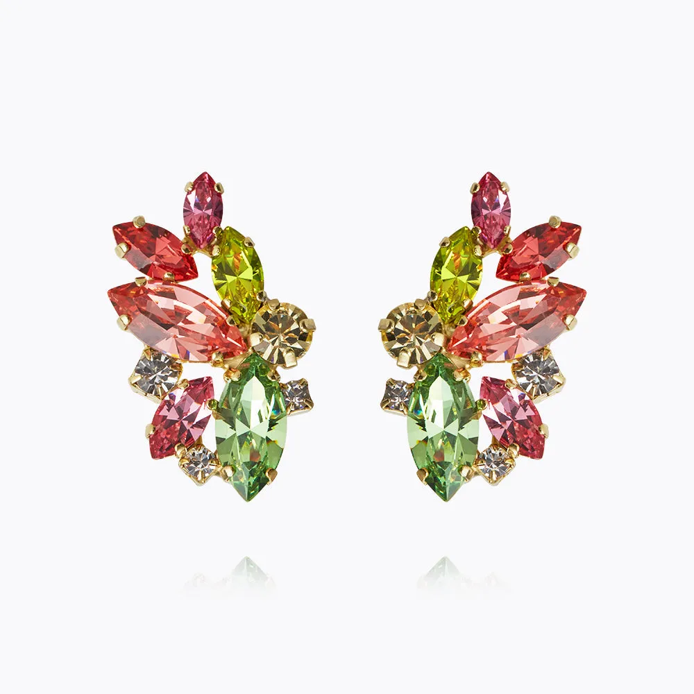 Havanna Earrings / Tropicana Combo