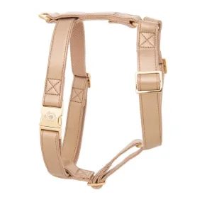 Royal Gold Harness