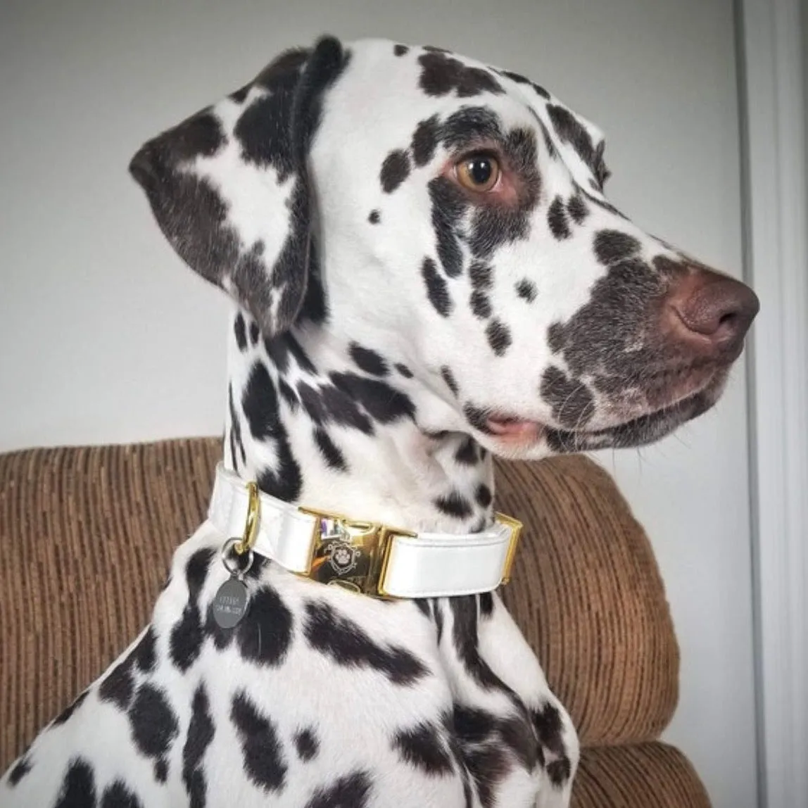 White Pearl Gold Collar